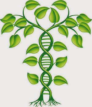 Family History and Genetic Testing: Worth the Worry?